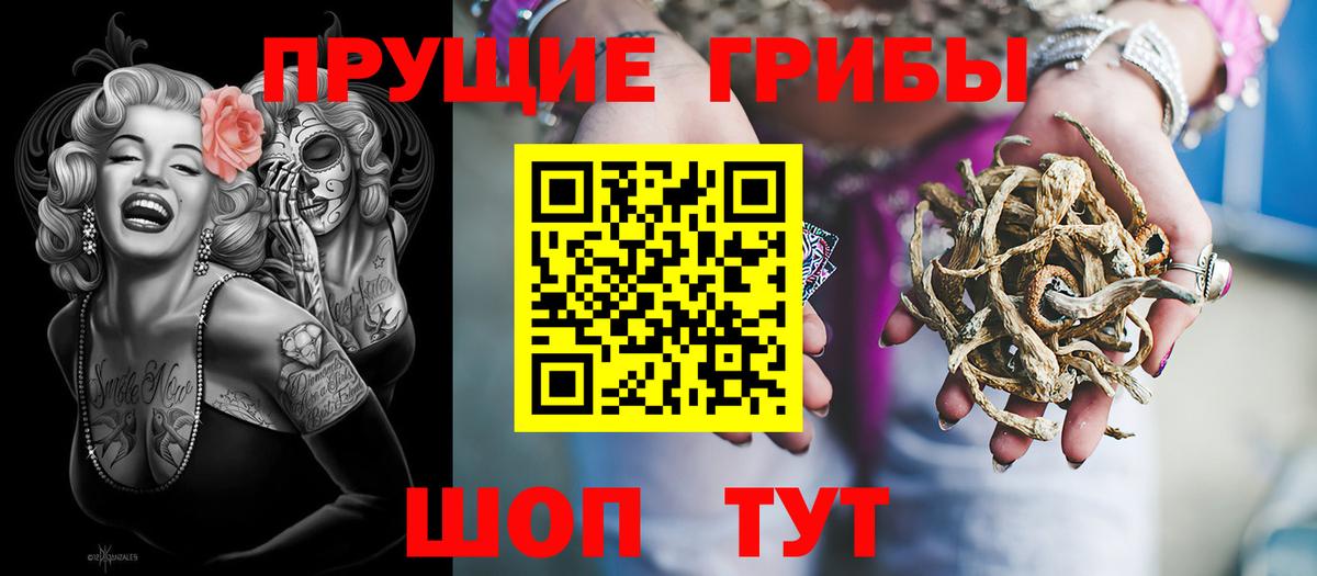 Псилоцибиновые грибы Magic Shrooms  Псилоцибиновые грибы Magic Shrooms  Троицк  Вход с VPN 